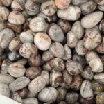 Crystal Tumbled Stones Ocean Jasper Bloodstone Mookaite Jasper Mexican Lace Agate Tumbled Crystal Mix Bulk