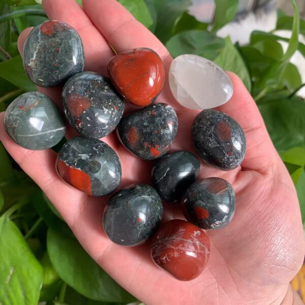 Crystal Tumbled Stones Ocean Jasper Bloodstone Mookaite Jasper Mexican Lace Agate Tumbled Crystal Mix Bulk