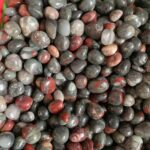 Crystal Tumbled Stones Ocean Jasper Bloodstone Mookaite Jasper Mexican Lace Agate Tumbled Crystal Mix Bulk