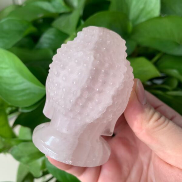 Unique Crystal Carving Collection Rose Quartz Buddha Head Chakras Zodiac Plates Labradorite Selenite