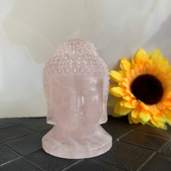 Unique Crystal Carving Collection Rose Quartz Buddha Head Chakras Zodiac Plates Labradorite Selenite