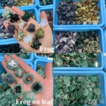 Bulk Mini Crystal Animal Free Shipping Tiny Natural Healing Stone Carvings for Collection & Crafts