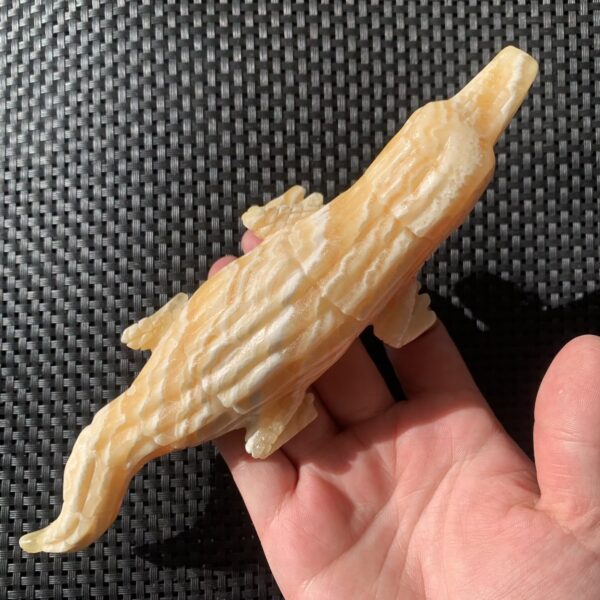 Calcite Crocodile Animal Carving 3) (4)