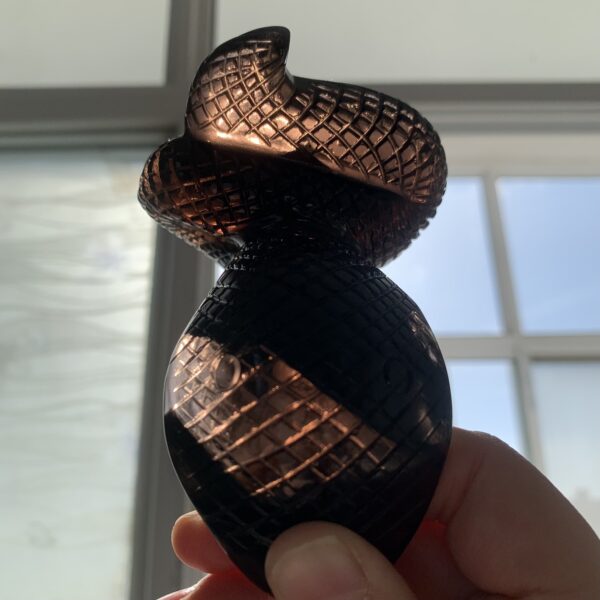 Midninght Obsidian Snake (3)