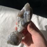 Crystal Dolphin Figurine Healing Moss Agate Dolphin Gift For Home Decor