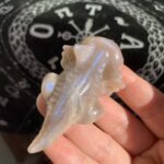 Blue Moonstone Salamander Wholesale Natural Crystal Salamander Carving