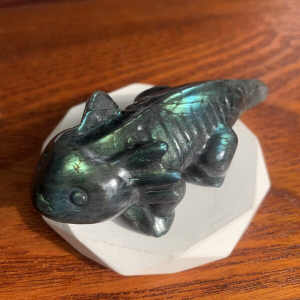 Labradorite Salamander (1)