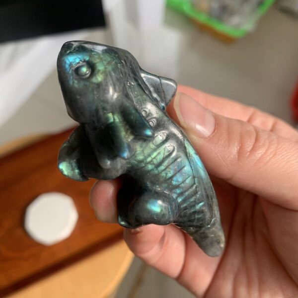 Labradorite Salamander Bulk Crystal Fire Protection Crystal