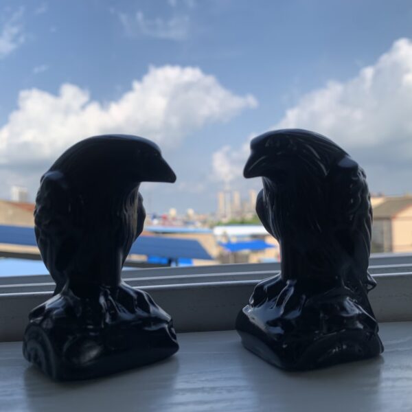 Black Obsidian Raven Crystal Crow Protection Grounding Spiritual Decor