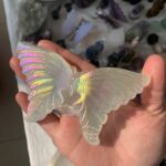 Selenite Butterfly Angel Aura Coated Selenite Butterfly Crystal Satin Spar Selenite