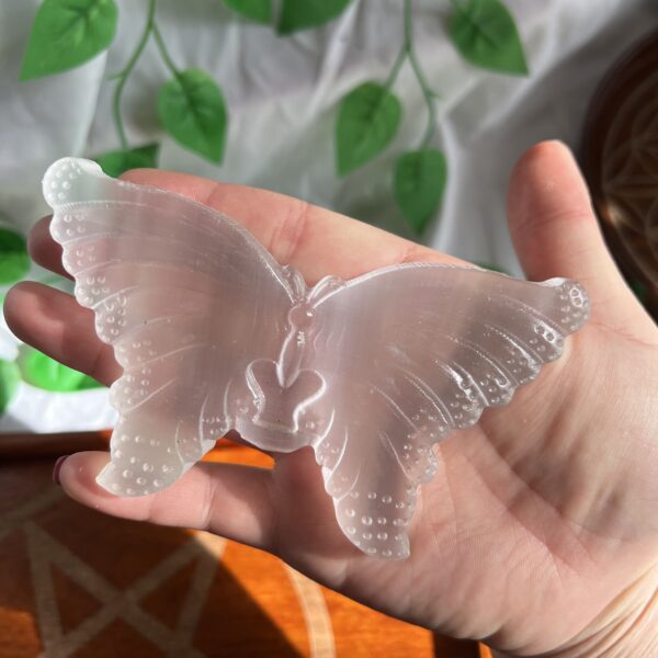 Selenite Butterfly Angel Aura Coated Selenite Butterfly Crystal Satin Spar Selenite